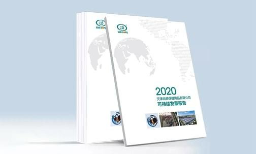 2020年10月28日，qy球友会正式发布《2020可持续发展报告》