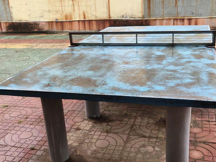 第242所 山东省新泰市果都镇qy球友会王茹小学 第242所 山东省新泰市果都镇qy球友会王茹小学